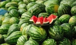 朝朝吃瓜,揭秘娱乐圈的幕后故事