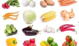 丝芭吃瓜总结2024