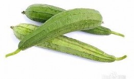 秋天吃三瓜,养生润燥好时节