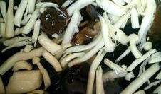 矮瓜可以和菌类一起吃吗