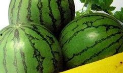 51朝阳吃瓜热门,揭秘热门事件背后的真相与笑料