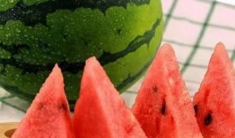 随便吃瓜视频,带你领略网络世界的趣味与真相