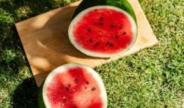 麓山国际吃瓜,揭秘校园里的“吃瓜”风云