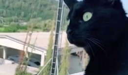 吃瓜隔壁吵架,一场吃瓜群众的围观盛宴