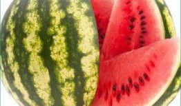 每日聪慧吃瓜上海,上海街头巷尾的智慧生活点滴