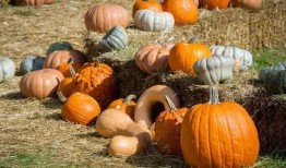 楼台吃瓜,揭秘都市生活百态