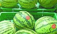 武汉菜根花吃瓜,探寻武汉街头独特的夏日美食风情