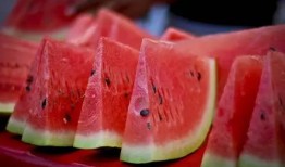 西瓜吃瓜号,揭秘网络红人的魅力与影响力