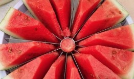 吃瓜大赛的照片,吃瓜大赛精彩瞬间大盘点