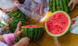 日常吃瓜的视频,揭秘热门视频背后的故事