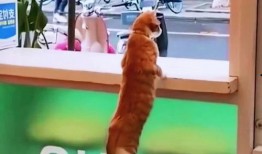 吃瓜隔壁吵架,一场吃瓜群众的围观盛宴