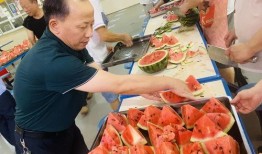 德成技工吃瓜,吃瓜群众的智慧与趣味