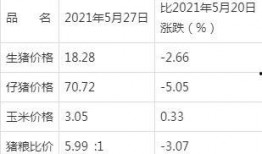 怀孕22周可以吃凉瓜吗,凉瓜食用宜忌解析