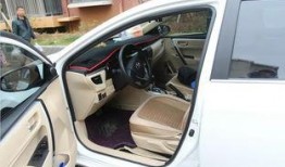 坐后排吃瓜,揭秘娱乐圈幕后风云