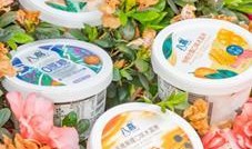 瓜哥吃冰淇淋,冰淇淋美食之旅