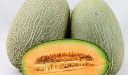 睡前吃哈密瓜荔枝,哈密瓜与荔枝的甜蜜邂逅