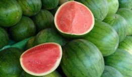 有什么大瓜吃,最新大瓜来袭，精彩内容不容错过！