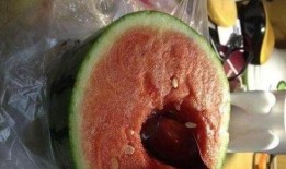 吃瓜事件分几种,揭秘网络舆论的多样面貌与影响