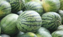 以前的吃瓜人,见证娱乐圈风云变幻的幕后故事