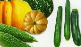 吃瓜灯,传统美食背后的文化传承与匠心独运