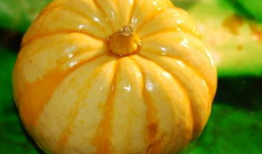 啥叫吃瓜视频,网络时代的娱乐风向标