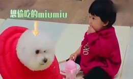 波妞带你吃瓜,揭秘美食背后的故事