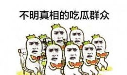 吃瓜群众组,吃瓜群众视角下的娱乐圈风云录
