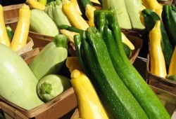 吃太多瓜想吐,吃太多瓜想吐的应对攻略