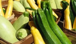 吃太多瓜想吐,吃太多瓜想吐的应对攻略