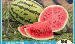 以前的吃瓜人,见证娱乐圈风云变幻的幕后故事