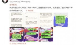吃大瓜小说,揭秘娱乐圈背后的秘密与真相