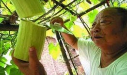 老大爷砍瓜吃瓜视频播放,网友直呼过瘾！