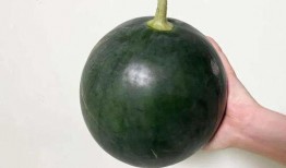 有什么大瓜吃,最新大瓜来袭，精彩内容不容错过！