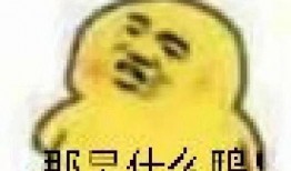 吃瓜表情破解,网络社交新趋势