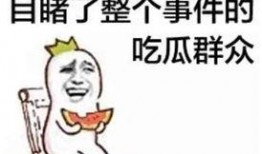 吃瓜娃子视频,揭秘娱乐圈幕后故事