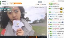 香港吃瓜主播,揭秘娱乐圈幕后风云