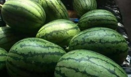 18年吃瓜,2018年度娱乐圈吃瓜大事件盘点