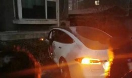 特斯拉理性吃瓜,揭秘电动汽车行业的风云变幻