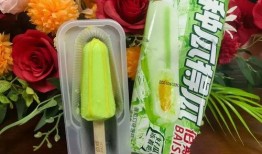 吃瓜的雪糕,揭秘“吃瓜雪糕”的独特魅力