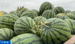 景宏吃瓜,揭秘娱乐圈幕后故事