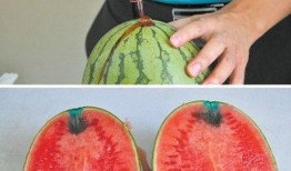 澳门吃瓜,吃瓜群众的味蕾盛宴