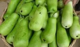 学校可以吃葫芦瓜