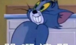 吃瓜吃兴奋了睡不着,吃瓜吃兴奋，夜不能寐的奇妙体验