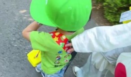 如何停下吃瓜,学会适时抽身，拥抱生活新篇章