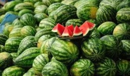 西瓜从结瓜到吃瓜要多久