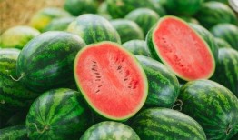 祁门吃瓜,揭秘当地特色美食背后的故事