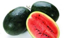 赵瑶瑶 吃瓜,瓜田里的“瓜王”