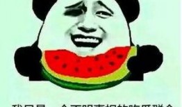 公众人物吃瓜底线,揭秘娱乐圈的“红线”与“雷区”