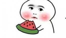 不敢随意吃瓜的成语,洞察真相——不敢随意吃瓜的智慧