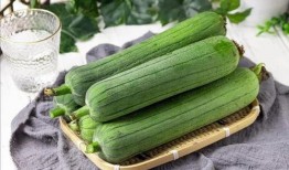 初伏吃2瓜,品味双瓜养生之道